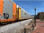 TTGX 981082